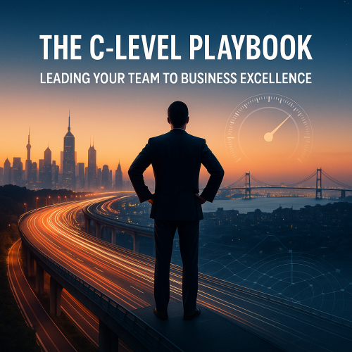 1749961367087-c-level-playbook.png