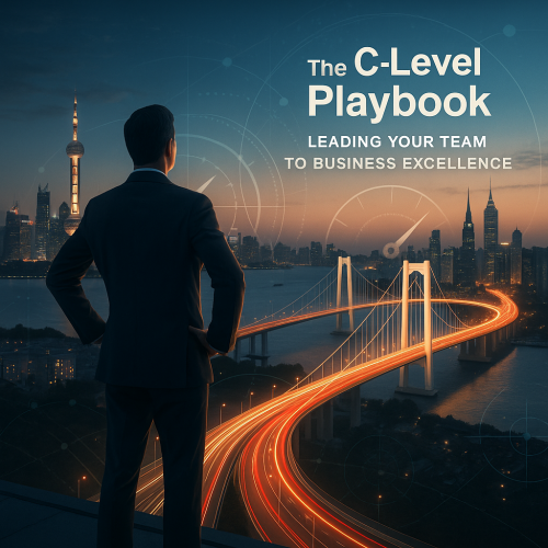 1749961409407-c-level-playbook-v3.png